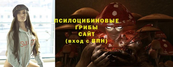 соль ск Абаза