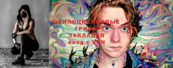 крисы Абдулино